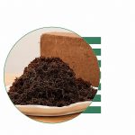 Grsndeur Velvet Soil