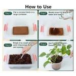Grsndeur Velvet Soil